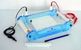 Electrophoresis Equipment