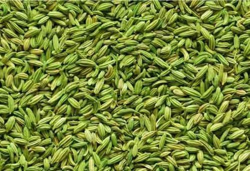 Fennel seeds, Type : Seeds