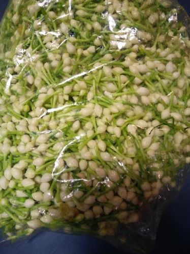 Fresh Jasmine Buds, Packaging Type : Bag, Box Etc.