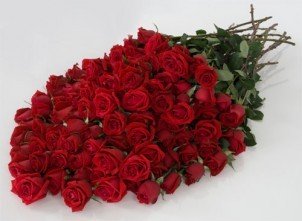 Fresh Red Cut Rose Flowers, For Decorative, Garlands, Vase Displays, Feature : Nice Fragrance