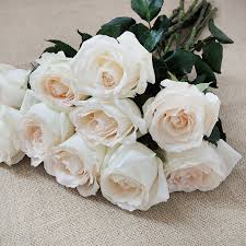 Fresh White Cut Rose Flowers, For Decorative, Garlands, Vase Displays, Wreaths