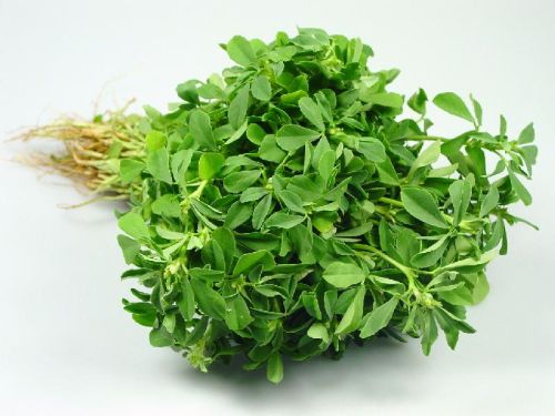Fenugreek Leaves