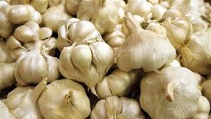 Garlic, Quality Available : A Grade