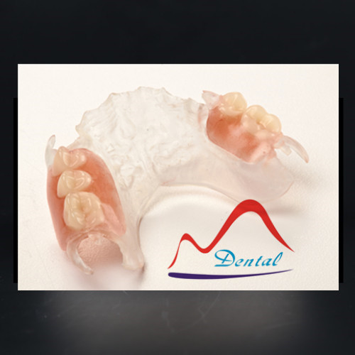 Dental ClearFrame Partial Denture