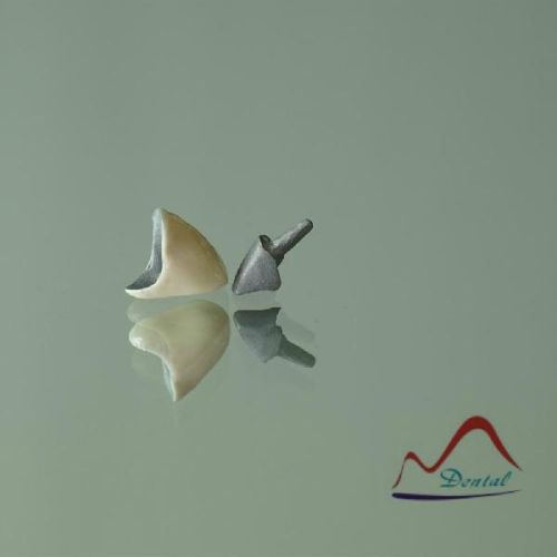 Dental NP Post Crown