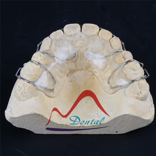 Hawley Retainer Of Different Colours