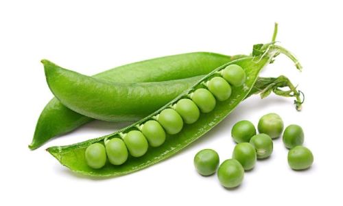 Green peas, Shelf Life : 10 Days