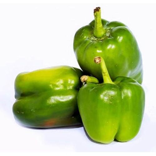 Fresh Capsicum, Packaging Size : 5 Kg, 10 Kg