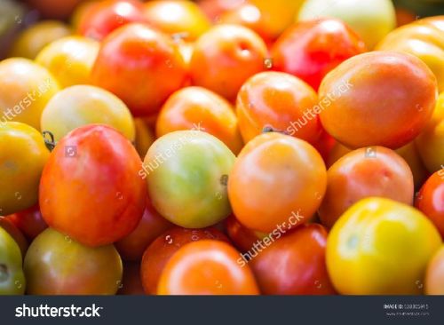 Tomato, Cultivation Type : Natural