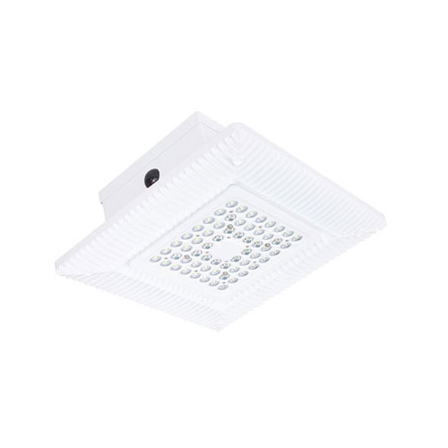 Fue LED Ceiling Lighting