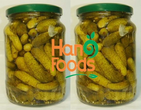 Canned Baby Cucumber Gherkins