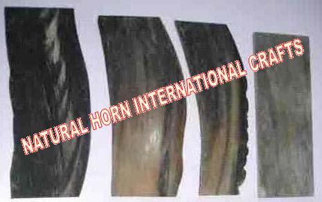 WATER BUFFALO HORN PLATES