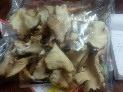 Dry Oyster Mushrooms, Form : Sliced for Cooking, Restaurant
