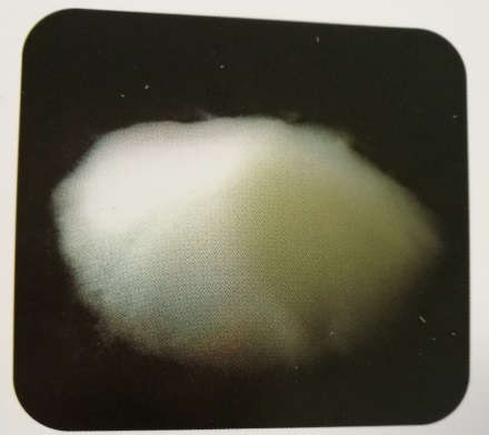 Nano Silica Aerogel Powders, Packaging Type : White/Blue/Translucence