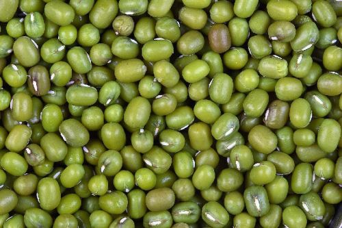 Natural Green Mung Beans