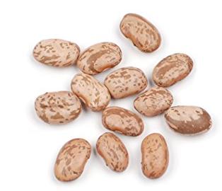 Pinto Beans