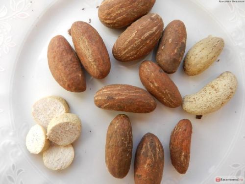 Garcinia Kola (Bitter Kola)