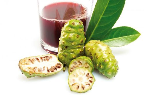 Natural noni juice, Brand Name : vietdelta, Grade : premium