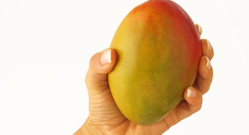 Fresh mango, Shelf Life : 1-5Days