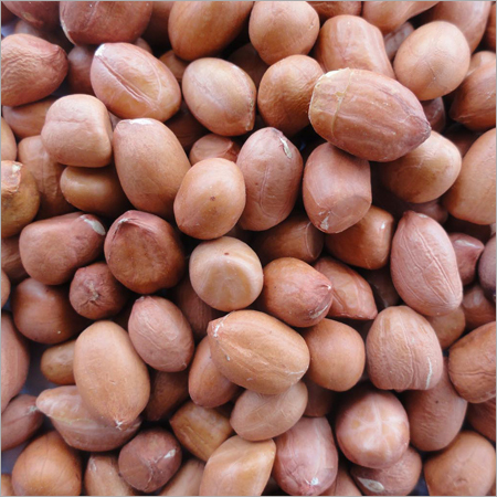 Groundnut Kernels