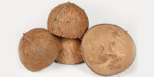 Coconut Shell