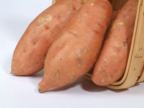 Sweet Potato