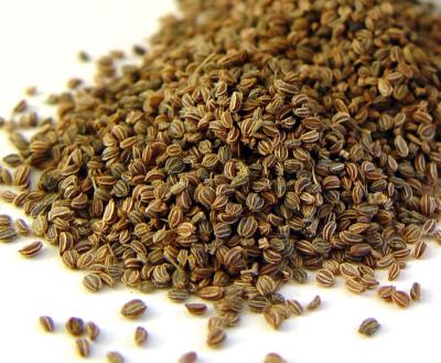 Celery Seeds