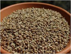 Carom Seeds