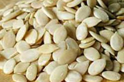 Magaj Seed