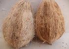 Coconut Products