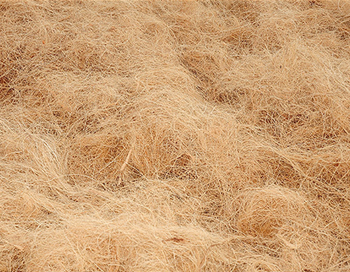 Short Coconut Fiber