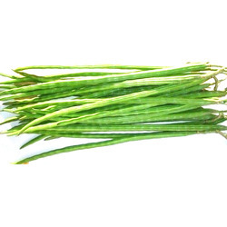 Organic Fresh Drumsticks, For Cooking, Feature : Good In Taste, Healthy, Non Harmul