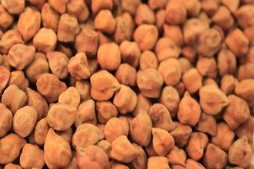 Black chickpeas, Drying Process : Sun Dried