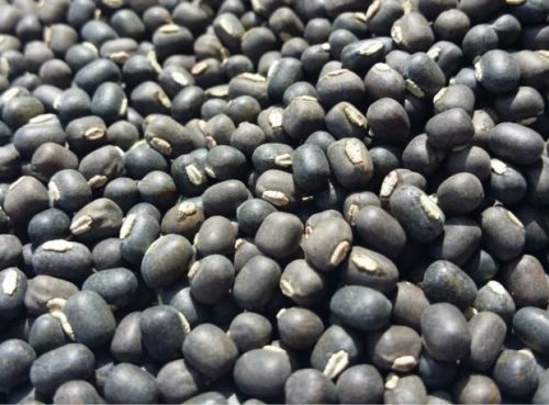 Black Urad Dal, Sodium : 38 mg/100gms