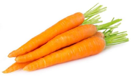 Fresh Carrot