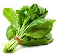 Fresh Spinach