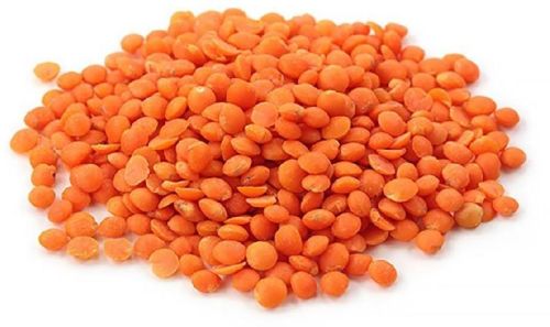 Red Lentils