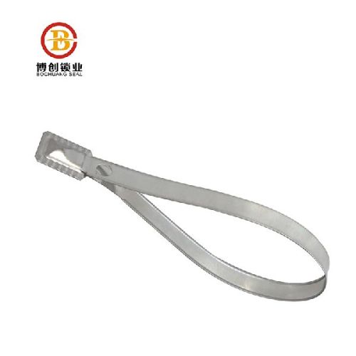 Tinplate Stainless Steel Lock Tie 218*8