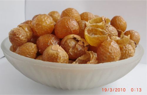 Himalayan Laundry Berries