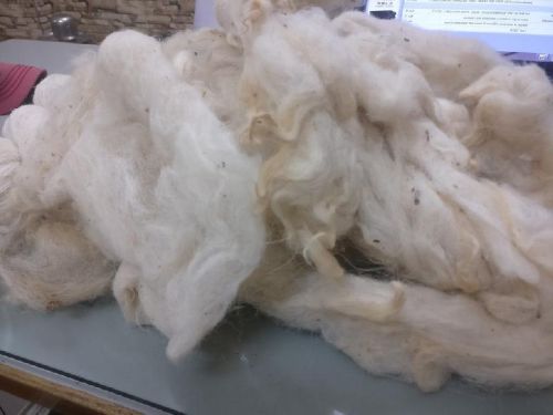 Raw Sheep Wool, Feature : Eco Friendly