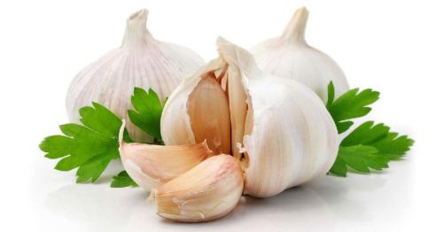 Fresh Garlic