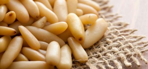 Pine nuts, Brand Name : Pinus, Packaging Type : Seeds ovoid, Brown