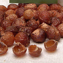 Soap Nuts