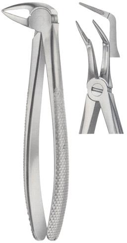 Tooth Forceps