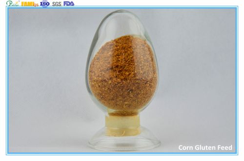 Corn Gluten Feed, Usage : Animal Feed Additive