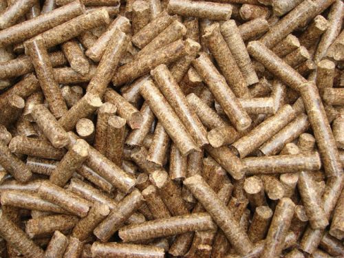 Poultry Feed Pellet