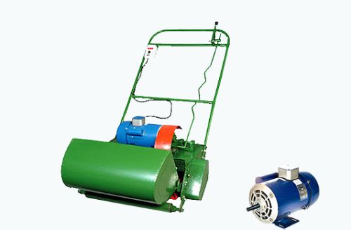 Lawn Mower Motor