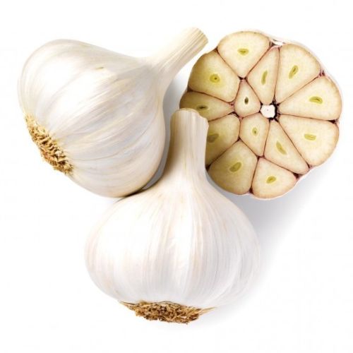 Organic Garlic