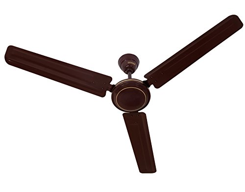 Ceiling Fans