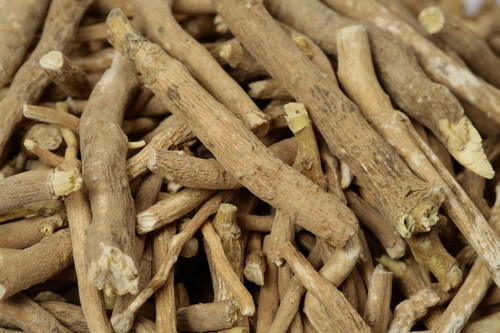 Ashwagandha Roots